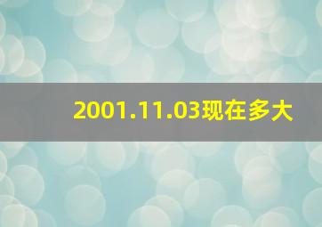 2001.11.03现在多大