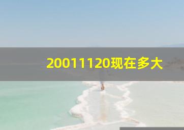 20011120现在多大