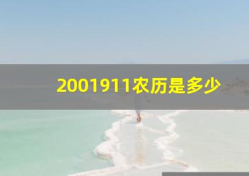 2001911农历是多少