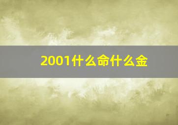 2001什么命什么金