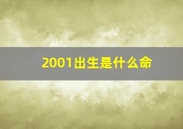 2001出生是什么命