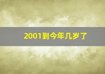 2001到今年几岁了