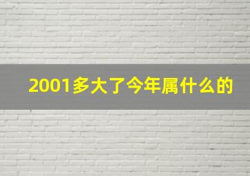 2001多大了今年属什么的