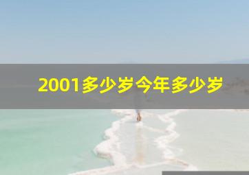 2001多少岁今年多少岁