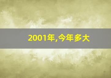 2001年,今年多大