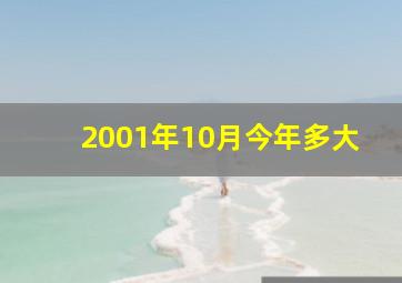 2001年10月今年多大