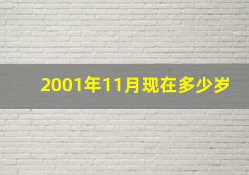 2001年11月现在多少岁