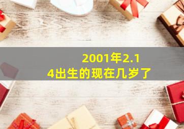 2001年2.14出生的现在几岁了