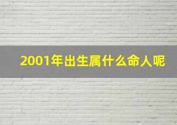 2001年出生属什么命人呢