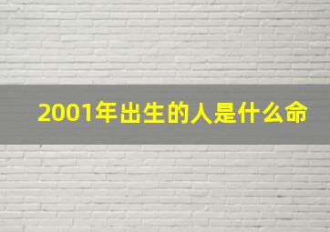 2001年出生的人是什么命