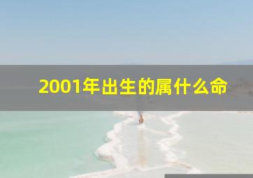 2001年出生的属什么命