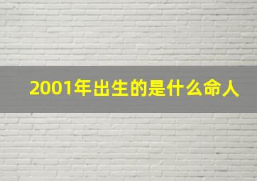 2001年出生的是什么命人