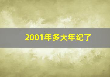 2001年多大年纪了