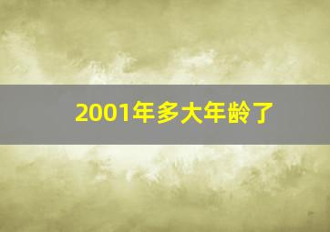 2001年多大年龄了