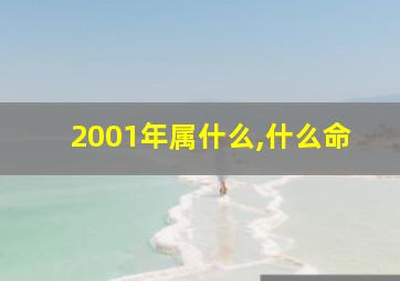 2001年属什么,什么命