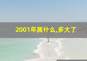 2001年属什么,多大了