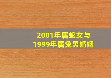 2001年属蛇女与1999年属兔男婚姻