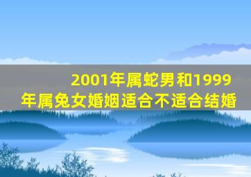 2001年属蛇男和1999年属兔女婚姻适合不适合结婚