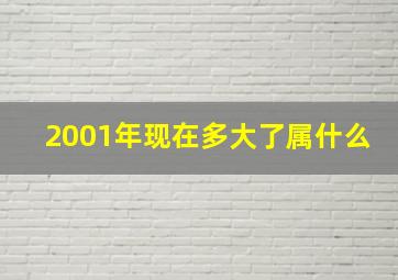 2001年现在多大了属什么