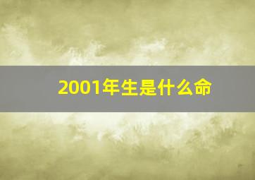 2001年生是什么命