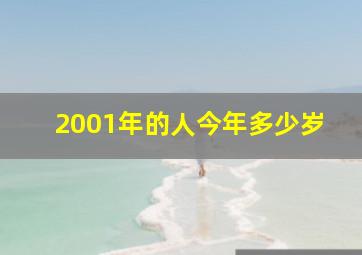 2001年的人今年多少岁