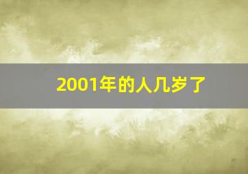 2001年的人几岁了