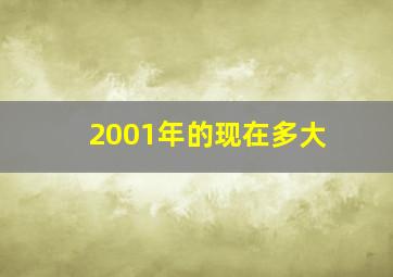 2001年的现在多大