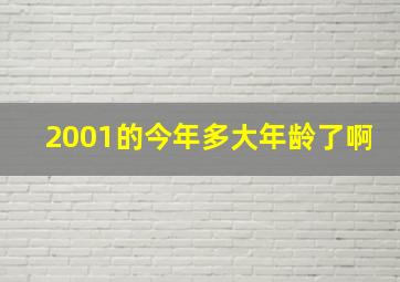 2001的今年多大年龄了啊