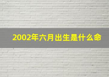 2002年六月出生是什么命