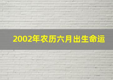 2002年农历六月出生命运