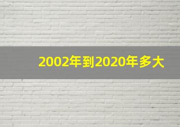 2002年到2020年多大