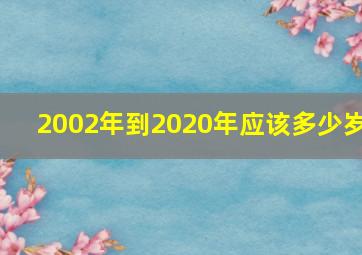 2002年到2020年应该多少岁