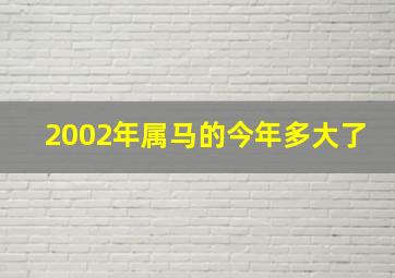 2002年属马的今年多大了