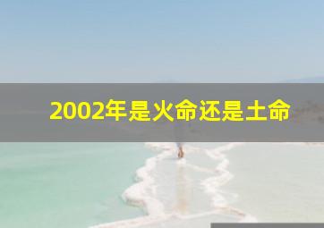 2002年是火命还是土命