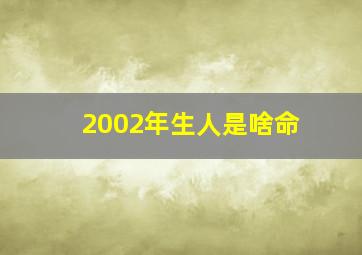 2002年生人是啥命