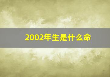 2002年生是什么命