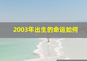 2003年出生的命运如何