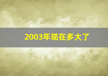 2003年现在多大了