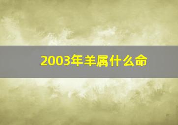 2003年羊属什么命