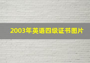 2003年英语四级证书图片