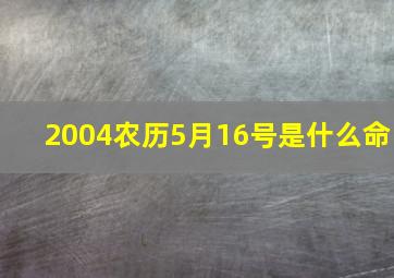 2004农历5月16号是什么命