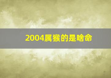 2004属猴的是啥命