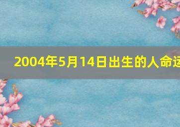 2004年5月14日出生的人命运