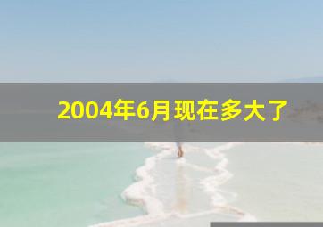 2004年6月现在多大了