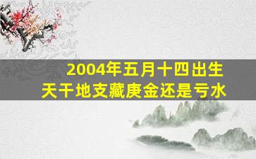 2004年五月十四出生天干地支藏庚金还是亏水