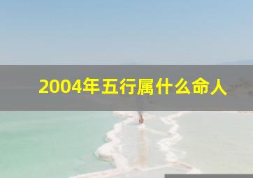 2004年五行属什么命人