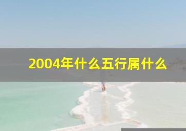 2004年什么五行属什么