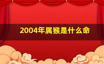 2004年属猴是什么命