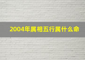 2004年属相五行属什么命