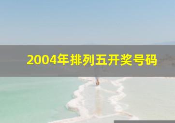 2004年排列五开奖号码